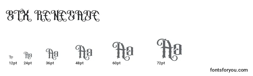 BTX RENEGADE Font Sizes