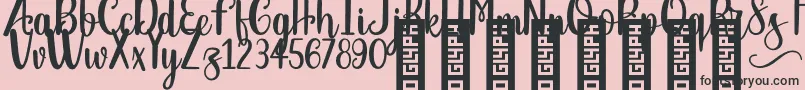 BTX the knights squire Regular Font – Black Fonts on Pink Background