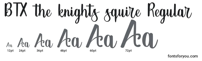 BTX the knights squire Regular Font Sizes