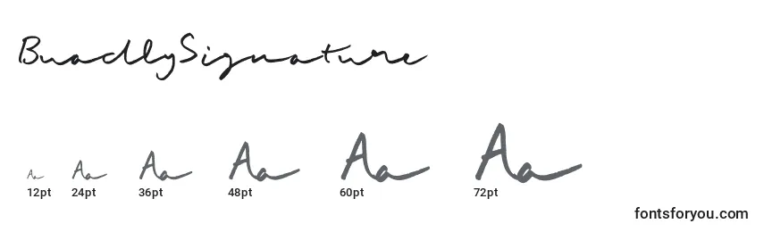 BuadlySignature Font Sizes