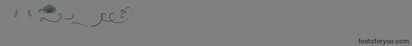 Budapest Swashes Font – Black Fonts on Gray Background