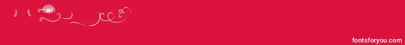 Budapest Swashes Font – White Fonts on Red Background