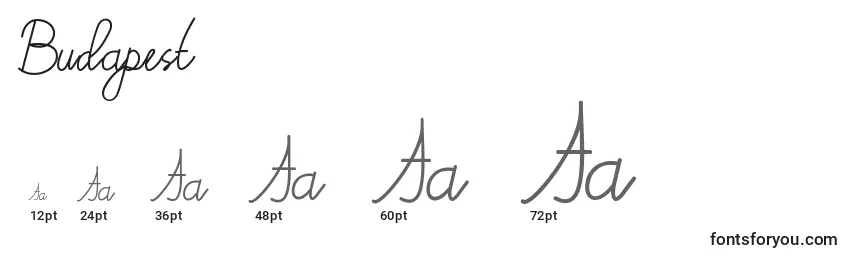 Größen der Schriftart Budapest (122369)