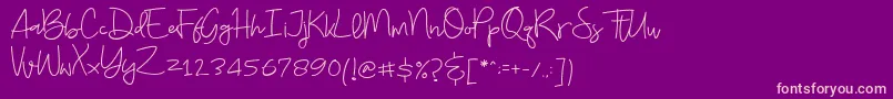 Budayut Font – Pink Fonts on Purple Background