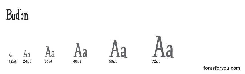 Размеры шрифта Budbn    (122373)