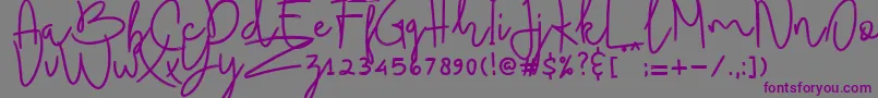 フォントBudhayanti script – 紫色のフォント、灰色の背景