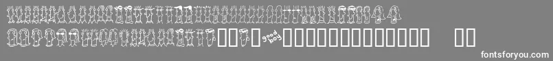 BUENC    Font – White Fonts on Gray Background