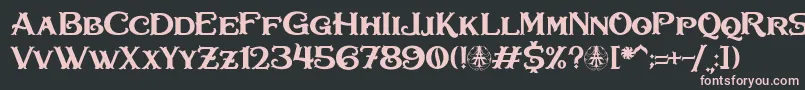 Bullhawk Personal Use Only Font – Pink Fonts on Black Background