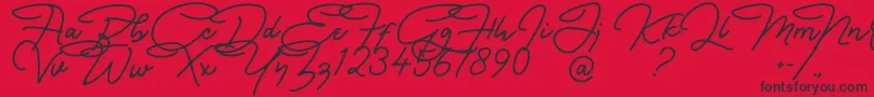 fuente Bullstander Free Font – Fuentes Negras Sobre Fondo Rojo