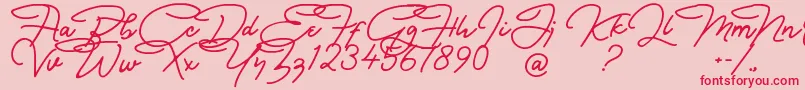 Bullstander Free Font Font – Red Fonts on Pink Background