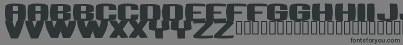 BUMBASTIKA-Schriftart – Schwarze Schriften auf grauem Hintergrund