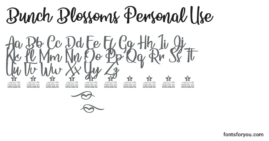 Czcionka Bunch Blossoms Personal Use – alfabet, cyfry, specjalne znaki