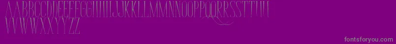 BungaCengkih Font – Gray Fonts on Purple Background
