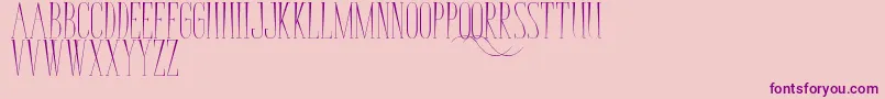 BungaCengkih Font – Purple Fonts on Pink Background