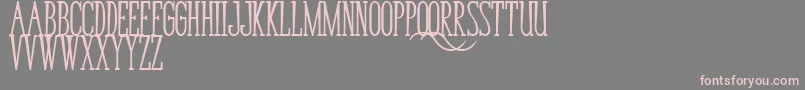 BungaCengkihBold Font – Pink Fonts on Gray Background