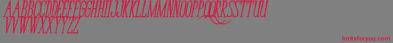 BungaCengkihBoldItalic Font – Red Fonts on Gray Background
