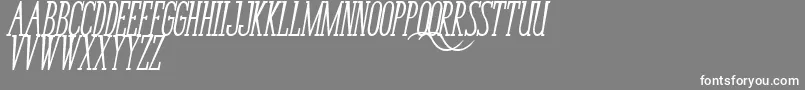 BungaCengkihBoldItalic Font – White Fonts on Gray Background