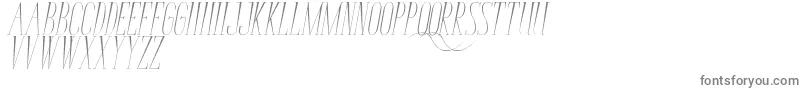 BungaCengkihItalic Font – Gray Fonts on White Background