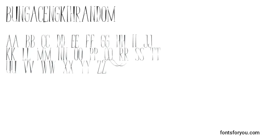 Czcionka BungaCengkihRandom – alfabet, cyfry, specjalne znaki