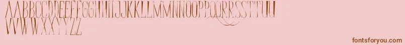 BungaCengkihRandom Font – Brown Fonts on Pink Background