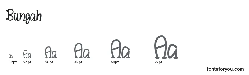 Размеры шрифта Bungah