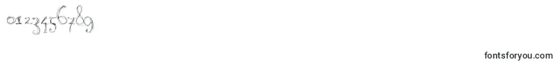 BURNL    Font – Fonts for Numbers and Digits