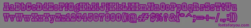 Burris Font – Purple Fonts on Gray Background