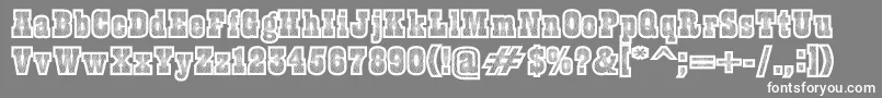 フォントBurris – 灰色の背景に白い文字