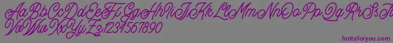 Buryland Script Demo Font – Purple Fonts on Gray Background