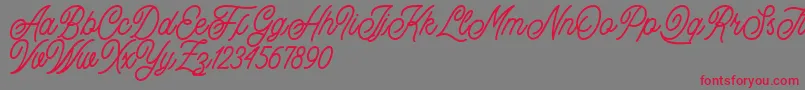 Buryland Script Demo Font – Red Fonts on Gray Background