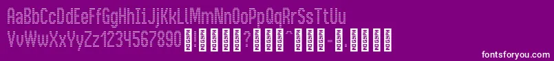 BusMatrixCondensed Condensed Font – White Fonts on Purple Background