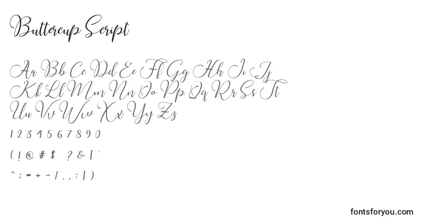 Czcionka Buttercup Script (122480) – alfabet, cyfry, specjalne znaki