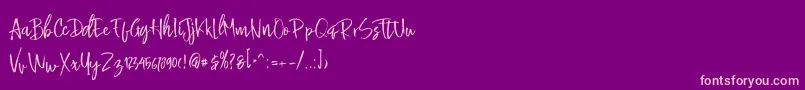 Buttle Font – Pink Fonts on Purple Background