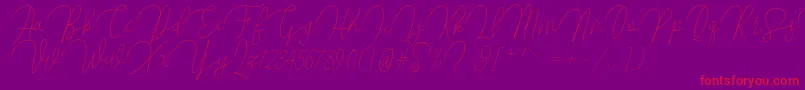 Butty Font – Red Fonts on Purple Background