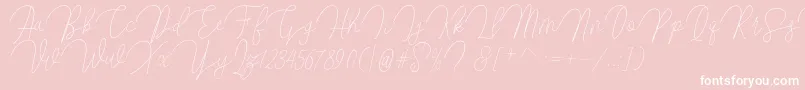 Butty Font – White Fonts on Pink Background