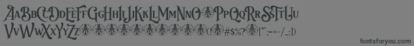 Bvas Estadas Personal Use Only Font – Black Fonts on Gray Background