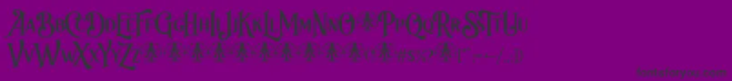 Bvas Estadas Personal Use Only Font – Black Fonts on Purple Background