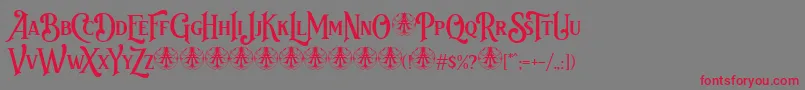 Bvas Estadas Personal Use Only Font – Red Fonts on Gray Background
