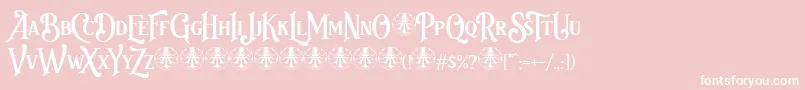 Bvas Estadas Personal Use Only Font – White Fonts on Pink Background
