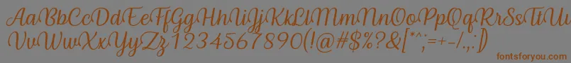 Byby Font Italic Font – Brown Fonts on Gray Background