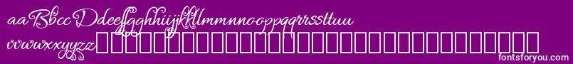 Bykars Demo Font – White Fonts on Purple Background