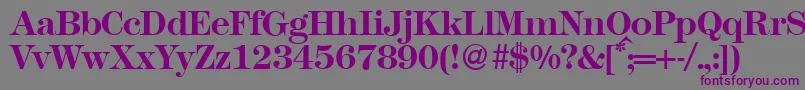 Шрифт Modern438Bold – фиолетовые шрифты на сером фоне