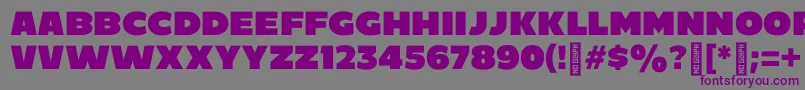 C800 Font – Purple Fonts on Gray Background