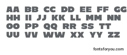C800 Font