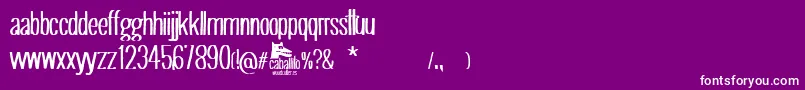 Caballito Font – White Fonts on Purple Background