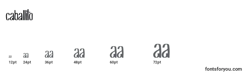 Caballito Font Sizes