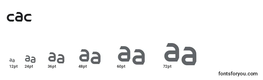 CAC      (122538) Font Sizes
