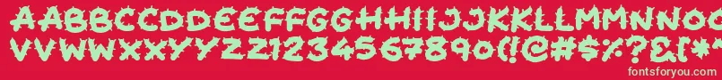 Cactus Cuties Font – Green Fonts on Red Background