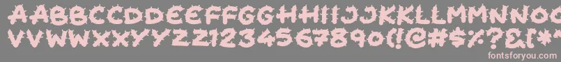 Cactus Cuties Font – Pink Fonts on Gray Background