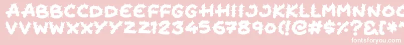 Cactus Cuties Font – White Fonts on Pink Background